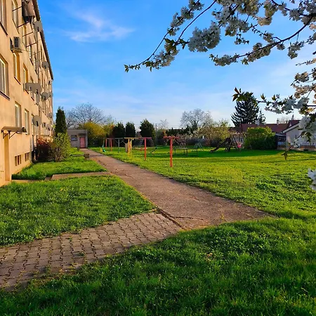 Apartment Fast In The Tlmace *