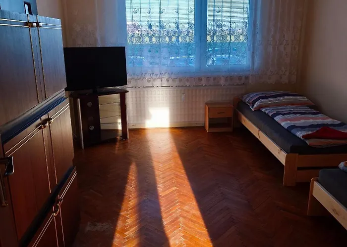 Fast In The Tlmace *